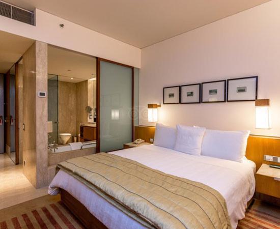 Hotel Plaza International Near Delhi Airport New Delhi Exterior photo